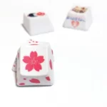 japanese-elements-supplement-oem-keycap-set-front2