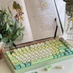 mystical-rabbit-soa-keycap-set-keyboard-side2