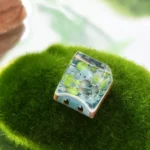 pokemon-squirtle-transparent-keycaps-withoutglass-display