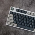 wild-oem-keycap-set-side2