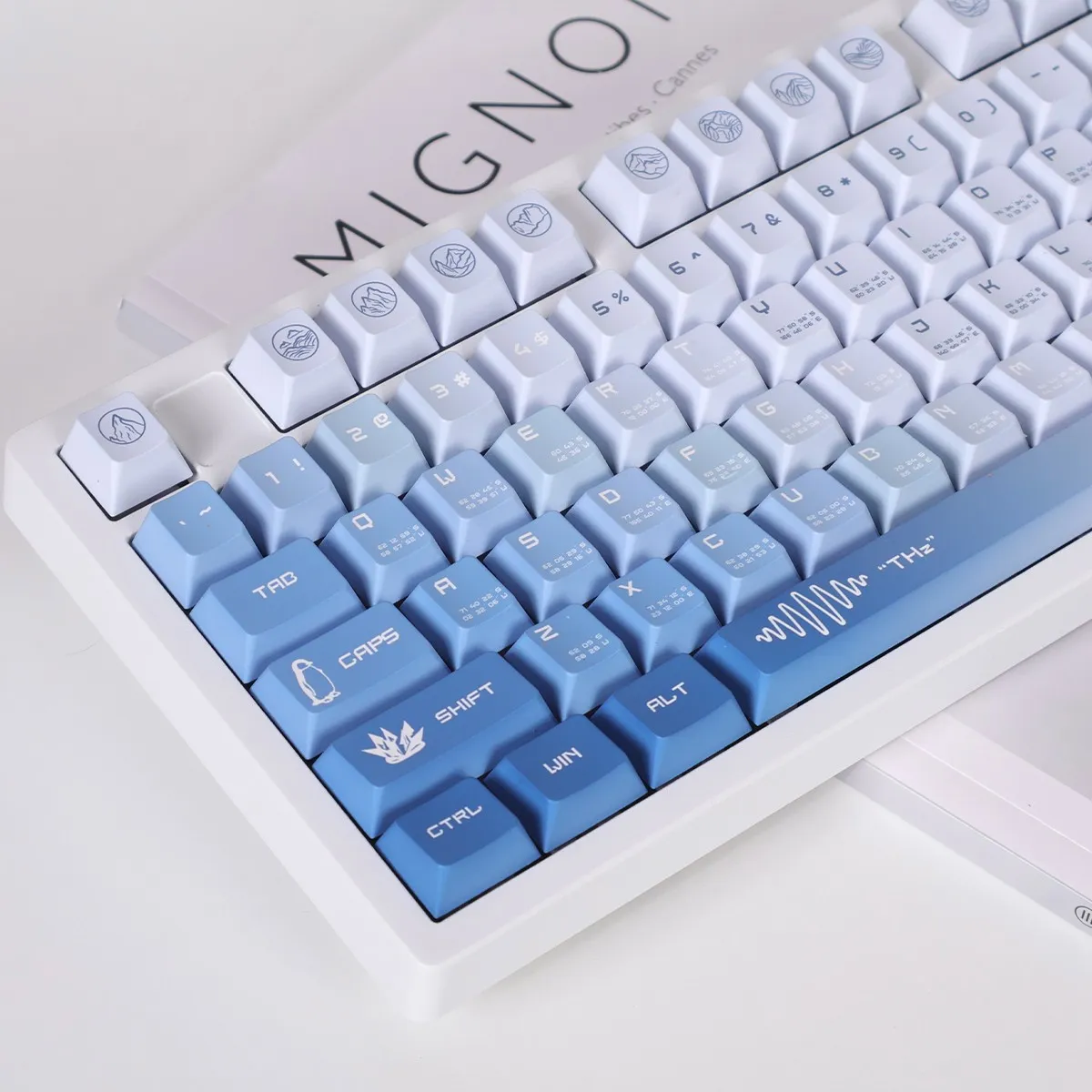 antarctic-news-oem-keycap-set-side