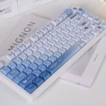 antarctic-news-oem-keycap-set-side3