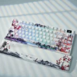 blackwhite-sk80pro-oem-trimode-mechanical-keyboard-side2