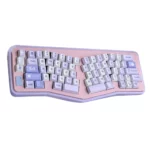 chirping-flowers-oem-keycap-set-side
