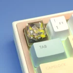 one-piece-borsalino-002-transparent-keycap-right
