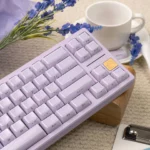 purple-crystal-jelly-oem-minimal-keycapset-side