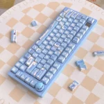 seeking-snow-mda-keycap-set-side2