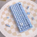 seeking-snow-mda-keycap-set-side3
