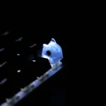 adorable-jelly-cat-keycaps-blue