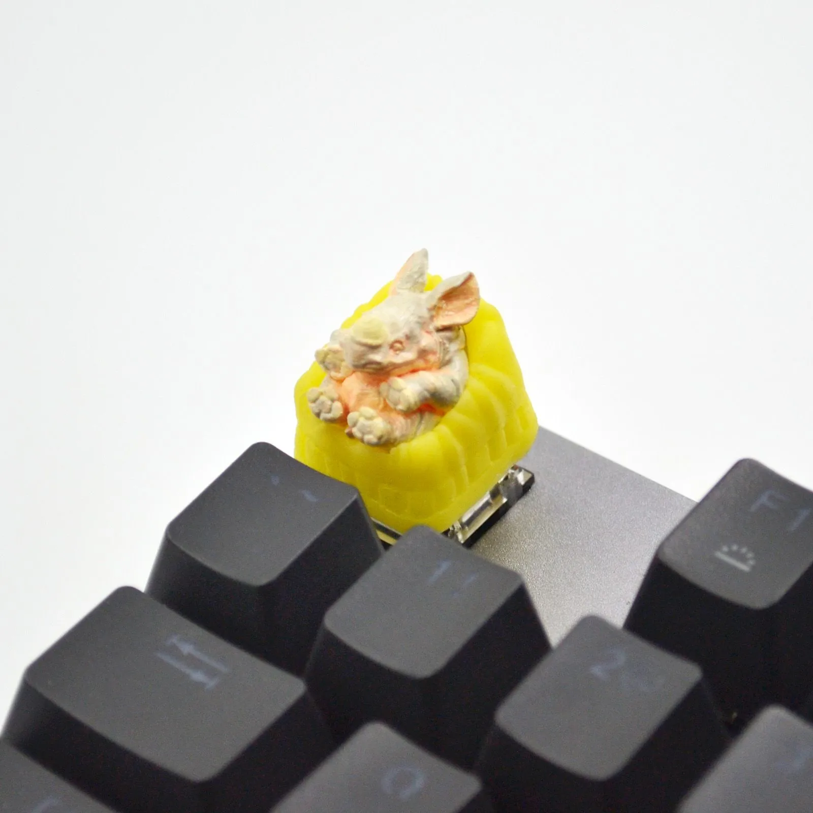 rhinoceros-lying-keycap-cover