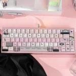 black-swan-oem-keycap-set-1