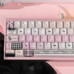 black-swan-oem-keycap-set-4