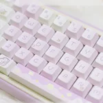 chubby-chirping-bird-oem-keycap-set-4