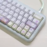 mangosteen-shaker-oem-keycap-set-side2