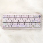 purple-bird-moa-keycap-set-1