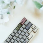 regenerate-grey-oem-keycap-set-side2