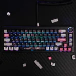 stylish-dlive-asa-keycap-set-cover
