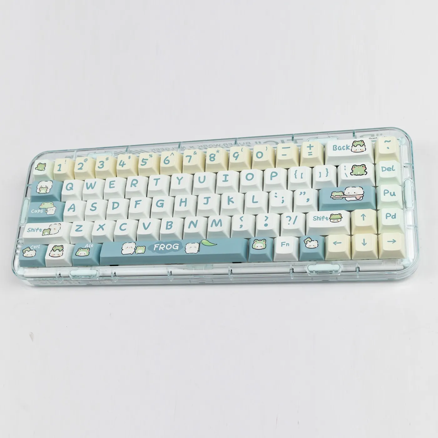 adorable-frog-oem-keycap-set-front