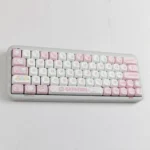 cat-eating-fish-moa-keycap-set-upfront