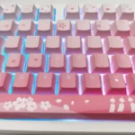 gradient-pink-cherry-blossom-oem-keycapset-front