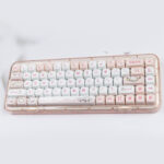 party-pig-moa-keycap-set-front2