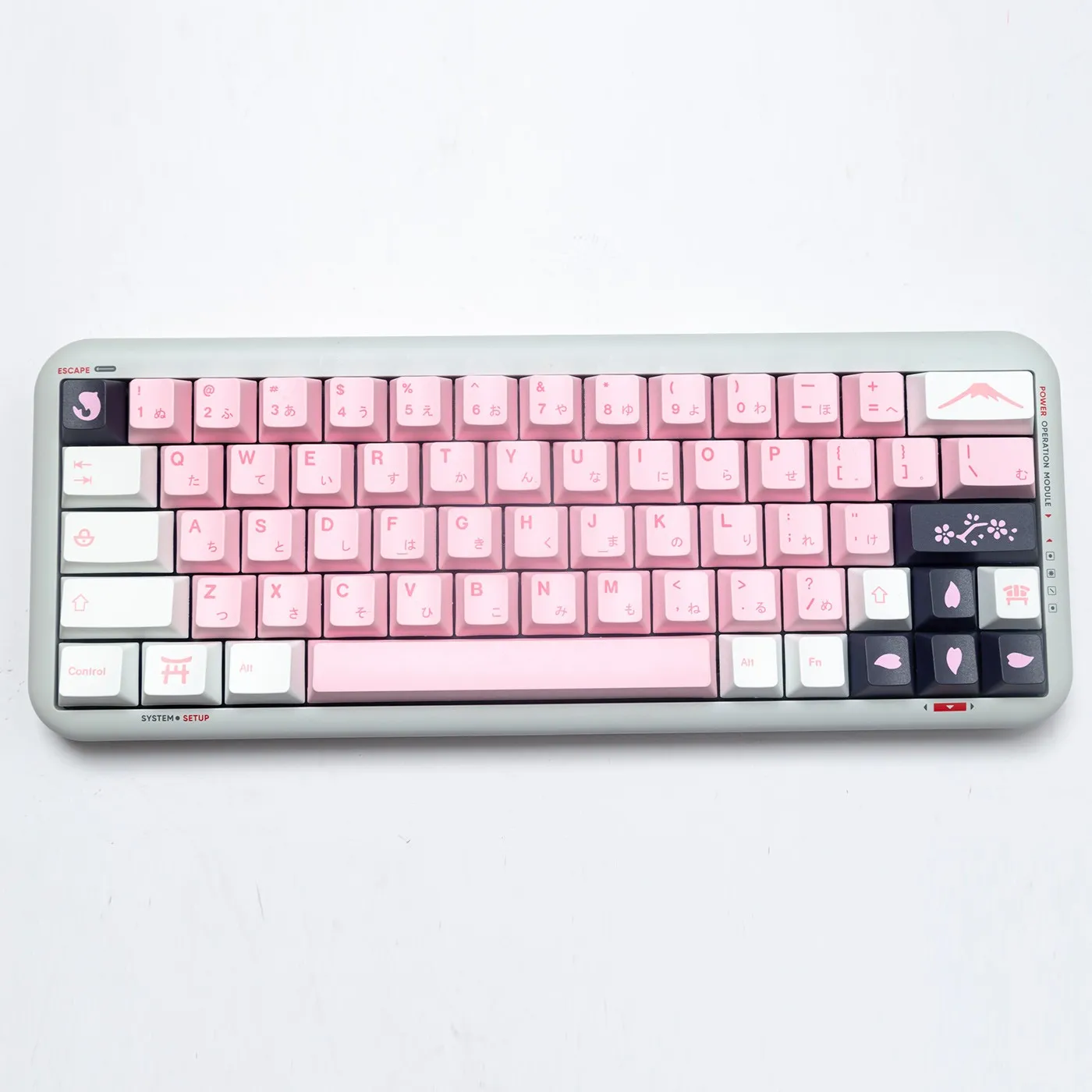 sakura-themed-oem-keycap-set-cover