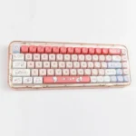 shopping-rabbit-soa-keycap-set-front