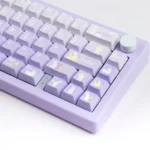 star-catching-rabbit-oem-keycap-set-side2