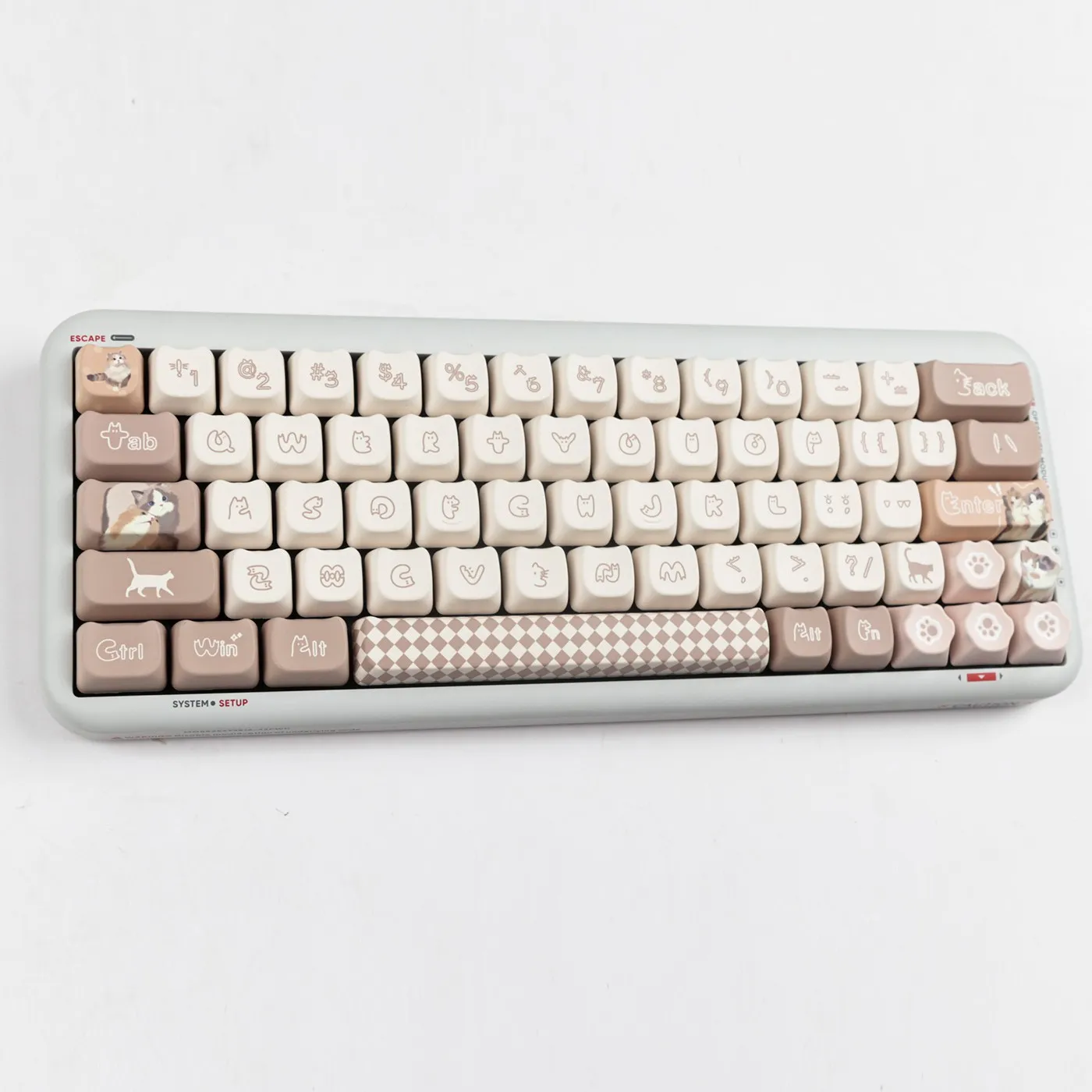 sticking-cat-mao-keycap-set-cover