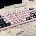 stylish-pink-oem-keycap-set-flesh