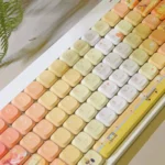 autumn-maple-walkers-ada-keycap-set-side
