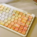 autumn-maple-walkers-ada-keycap-set-side2