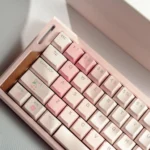 cherry-themed-oem-keycap-set-side2