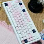 hidden-feelings-series-keycap-set-pinkmoa