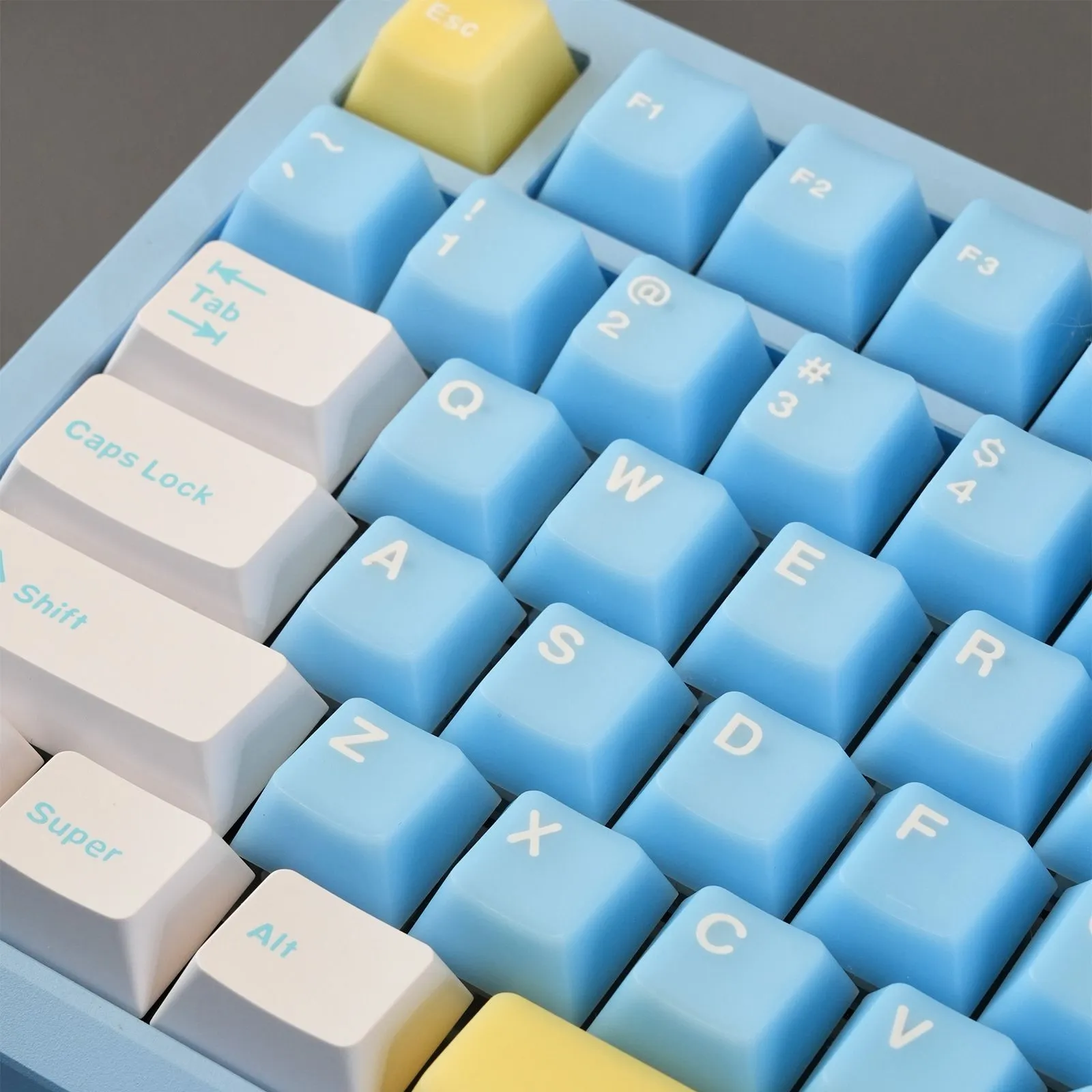 sea-salt-bear-oem-keycap-set-side2