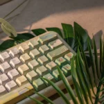 spring-outing-series-keycap-set-side2