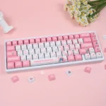 anon-chihaya-keycap-set-mechanical-keyboard-upfront3