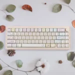gluttonous-cat-mao-keycap-set-cover