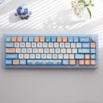 seaside-duck-mda-keycap-set-cover