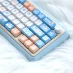 seaside-duck-mda-keycap-set-right