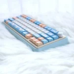 seaside-duck-mda-keycap-set-side3