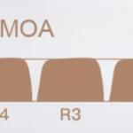 little-white-bear-moa-keycap-set-size