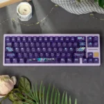 Dynamic gallery views of the Anime Keycap Set, highlighting the vibrant dye-sub PC silver-haired battle princess with a translucent frosted finish.