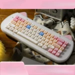 Adorable C67 Ragdoll keyboard with its charming acrylic stacked tri-mode mechanical design and whimsical Ragdoll cat aesthetics.