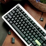 Dark Green PBT Keycap Set with Cherry Profile, showcasing the durable dye-sub set from various angles in its refreshing deep forest green aesthetic.