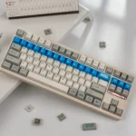 Gallery view of Retro Flooding Series Cherry Keycap Set, displaying their classic vintage aesthetic and crisp, durable legends.