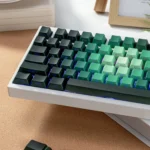 Enchanting Luminous PBT Rose Gradient Keycaps Set. Delicate side-lit pink and green floral designs shown from multiple views, perfect for RGB keyboards.