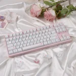 Explore the artistic Spring Theme Keycaps set in a gallery, featuring vibrant PBT dye-sublimated designs of serene spring landscapes.