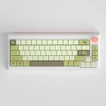 Tranquil Tea Keycaps set in serene green, showcasing premium PBT and exquisite five-sided dye-sub tea motifs. A nature-inspired aesthetic for your setup.