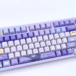 Xavier Keycap Set, showcasing the crisp doubleshot side-engraved legends and character-inspired vibrant accents.